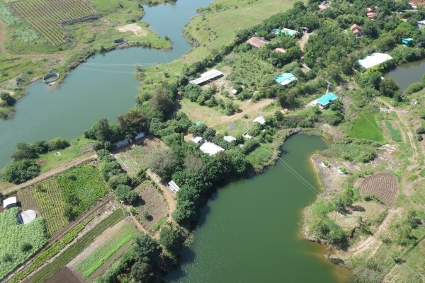 THE HIDDEN OASIS AERIAL VIEW